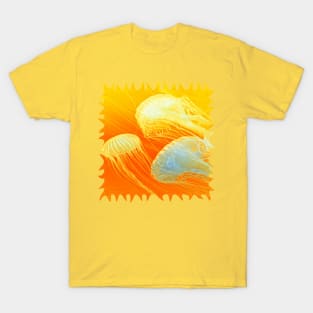 Jellyfish of the Orange Marmalade Hoodie T-Shirt